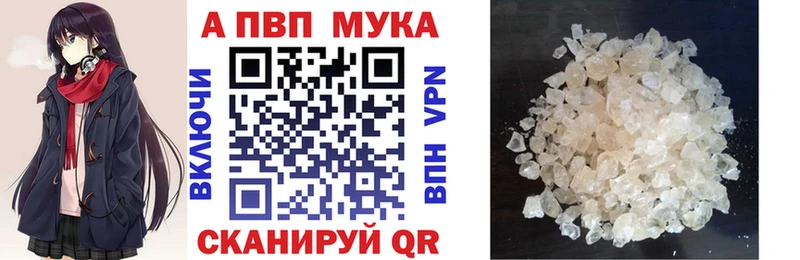 MEGA ONION  Игра  А ПВП крисы CK 