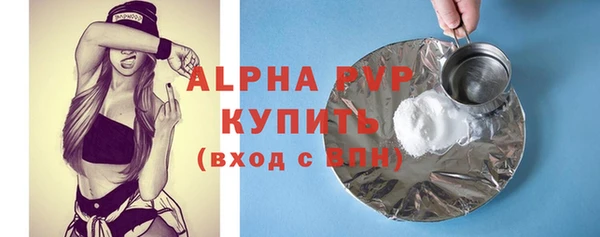 мет Алексин