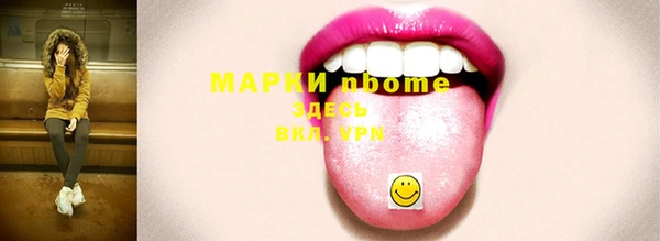 мет Алексин