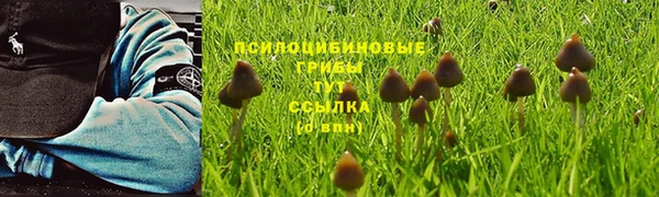 кокс Алзамай