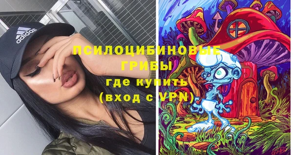мет Алексин