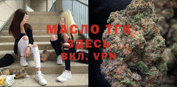 мет Алексин