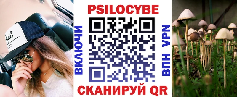 кракен как войти  Игра  Псилоцибиновые грибы Cubensis 
